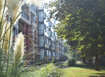 Wohnung in Dessau-Nord - Wohngebiet