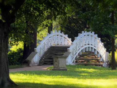 Brücke im UNECO Welterbe Luisium