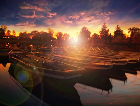 Abendstimmung im Wörlitzer Park