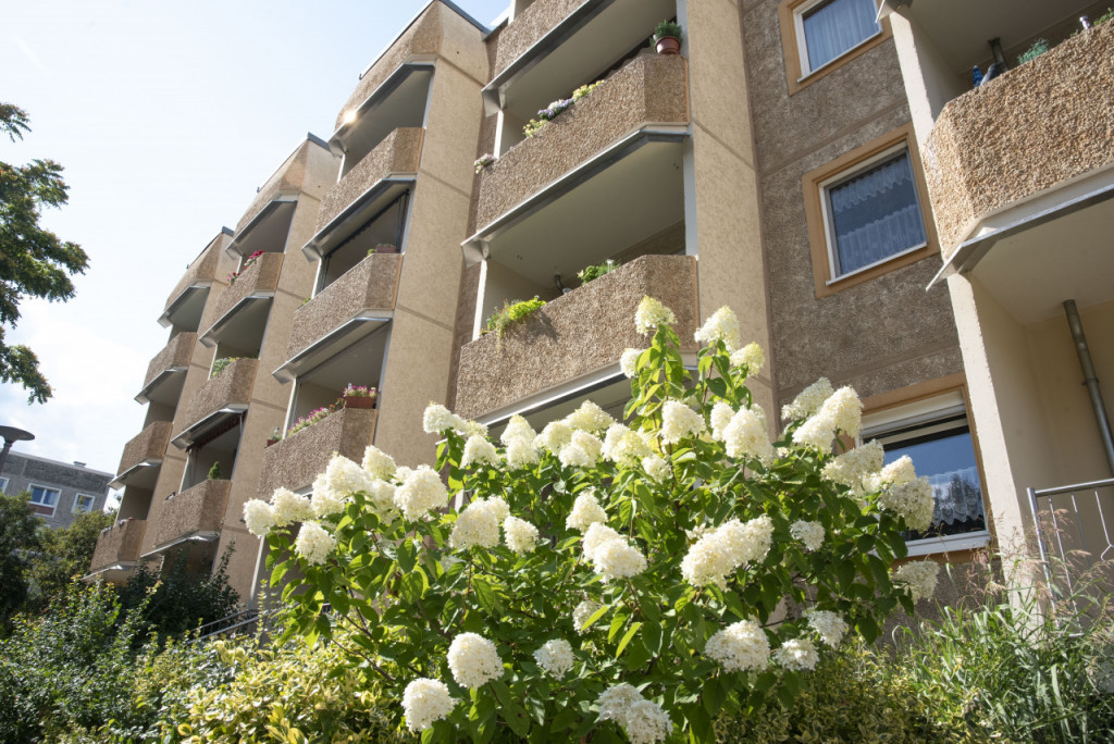 2-Raum-Wohnung in Dessau-Mitte